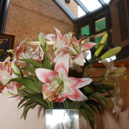 Meadow Court Inn - Ithaca Interior foto